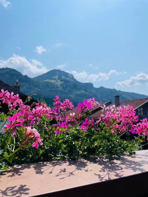 Berge, Wandern, Erholung Pur! Fewo Tinka-Haus Katja Bad Hindelang Ngoại thất bức ảnh