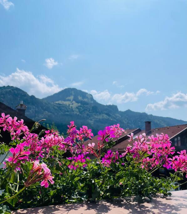 Berge, Wandern, Erholung Pur! Fewo Tinka-Haus Katja Bad Hindelang Ngoại thất bức ảnh